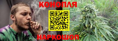 стаф Пенза