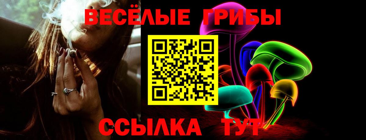 Галлюциногенные грибы GOLDEN TEACHER  Псилоцибиновые грибы мицелий  Сергиев Посад  Вход с VPN 
